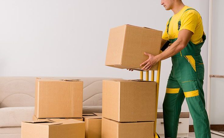 Packers and Movers in Kathog