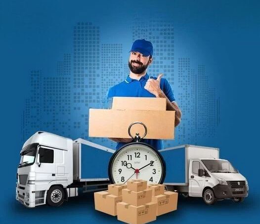 Packers and Movers in Pinjore